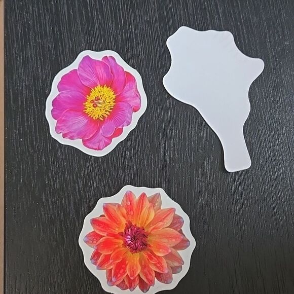 Flower Floral Stickers Womens Cute Fun Unique Blue Pink 1 Ea - Picture 3 of 8